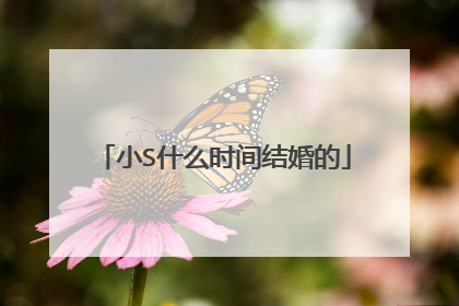 小S什么时间结婚的