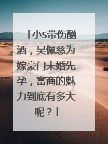 小S带伤酗酒,吴佩慈为嫁豪门未婚先孕,富商的魅力到底有多大呢?