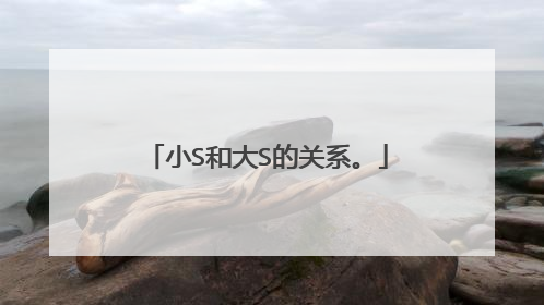 小S和大S的关系。