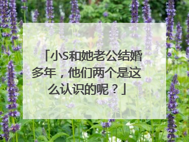 小S和她老公结婚多年，他们两个是这么认识的呢？
