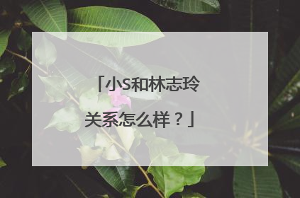 小S和林志玲关系怎么样?