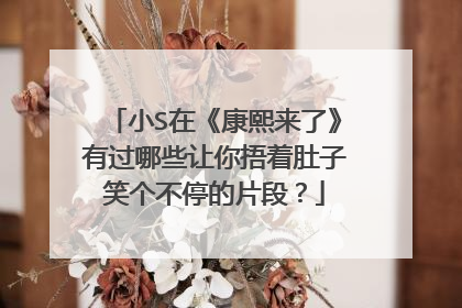 小S在《康熙来了》有过哪些让你捂着肚子笑个不停的片段？