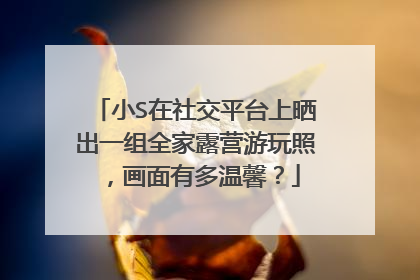 小S在社交平台上晒出一组全家露营游玩照，画面有多温馨？