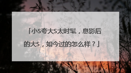 小S夸大S太时髦，息影后的大S，如今过的怎么样？