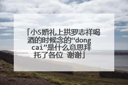 小S婚礼上拱罗志祥喝酒的时候念的“dong cai”是什么意思拜托了各位 谢谢
