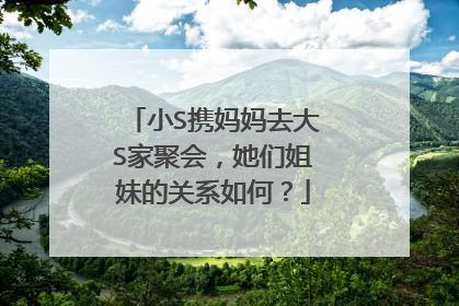 小S携妈妈去大S家聚会，她们姐妹的关系如何？