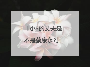 小S的丈夫是不是蔡康永?