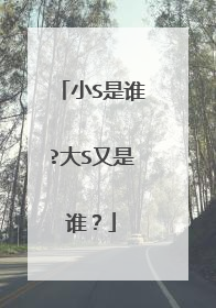 小S是谁?大S又是谁?