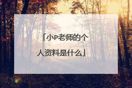 小P老师的个人资料是什么