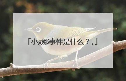 小g娜事件是什么?,