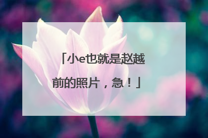 小e也就是赵越前的照片,急!