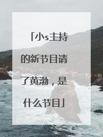 小s主持的新节目请了黄渤，是什么节目