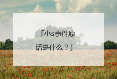 小s事件原话是什么？