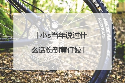 小s当年说过什么话伤到黄仔姣
