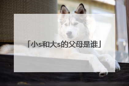 小s和大s的父母是谁