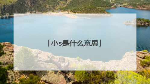 小s是什么意思