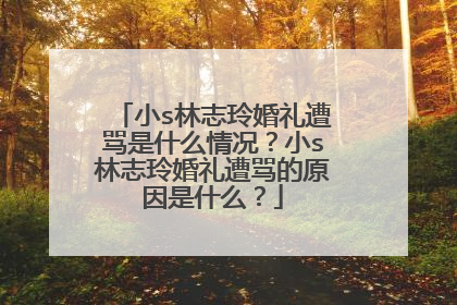 小s林志玲婚礼遭骂是什么情况？小s林志玲婚礼遭骂的原因是什么？