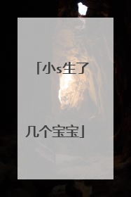 小s生了几个宝宝