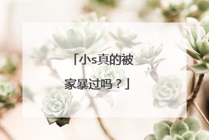 小s真的被家暴过吗？