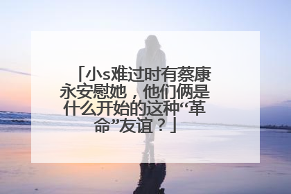 小s难过时有蔡康永安慰她，他们俩是什么开始的这种“革命”友谊？