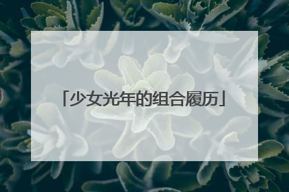 少女光年的组合履历