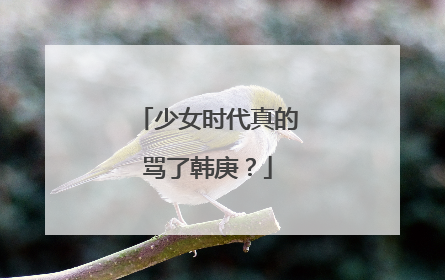 少女时代真的骂了韩庚?