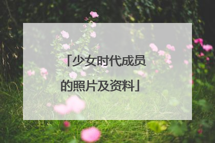 少女时代成员的照片及资料