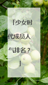 少女时代成员人气排名?