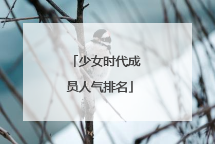 少女时代成员人气排名