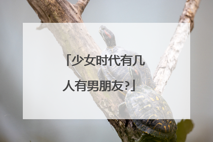 少女时代有几人有男朋友?