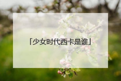 少女时代西卡是谁