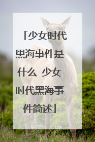 少女时代黑海事件是什么 少女时代黑海事件简述
