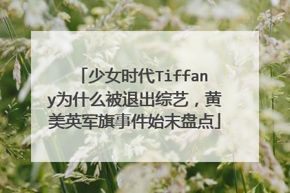 少女时代Tiffany为什么被退出综艺，黄美英军旗事件始末盘点