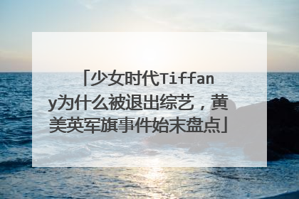 少女时代Tiffany为什么被退出综艺，黄美英军旗事件始末盘点