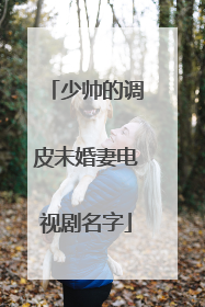 少帅的调皮未婚妻电视剧名字