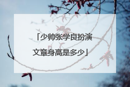 少帅张学良扮演文章身高是多少