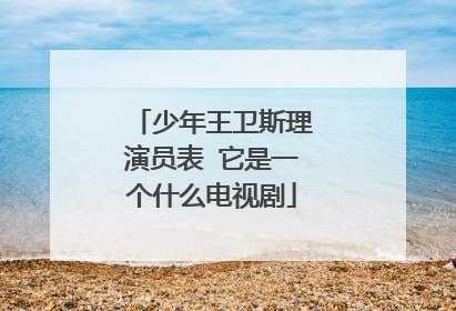 少年王卫斯理演员表 它是一个什么电视剧