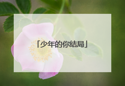 少年的你结局