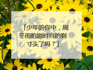 少年的你中，周冬雨拍剧时真的剃寸头了吗？