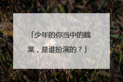 少年的你当中的魏莱，是谁扮演的？