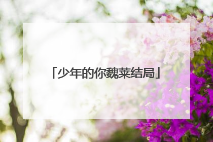 少年的你魏莱结局