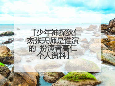 少年神探狄仁杰张天师是谁演的 扮演者高仁个人资料