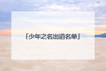 少年之名出道名单