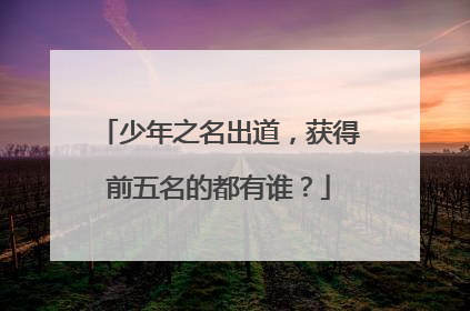 少年之名出道,获得前五名的都有谁?