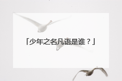 少年之名凡语是谁？