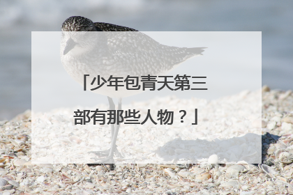 少年包青天第三部有那些人物？