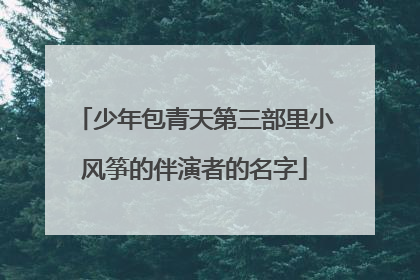 少年包青天第三部里小风筝的伴演者的名字