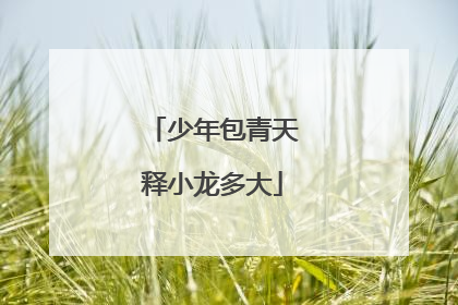 少年包青天释小龙多大