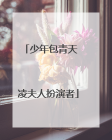 少年包青天 凌夫人扮演者