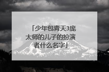 少年包青天3庞太师的儿子的扮演者什么名字